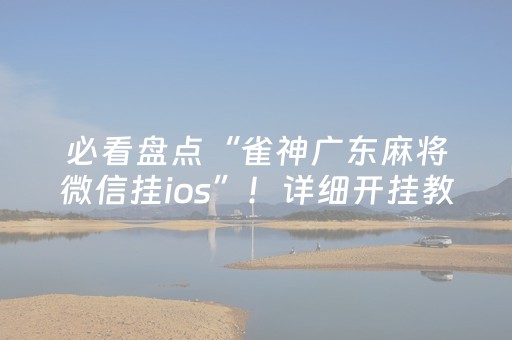 必看盘点“雀神广东麻将微信挂ios”！详细开挂教程（确实真的有挂)-知乎