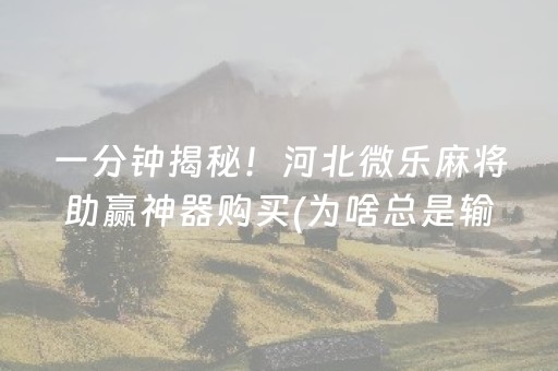 一分钟揭秘！河北微乐麻将助赢神器购买(为啥总是输)