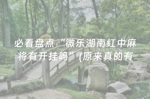 必看盘点“微乐湖南红中麻将有开挂吗”(原来真的有挂)-知乎