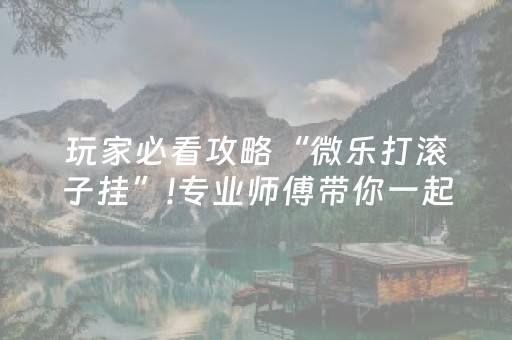 玩家必看攻略“微乐打滚子挂”!专业师傅带你一起了解（详细教程）-知乎