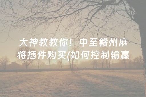 大神教教你！中至赣州麻将插件购买(如何控制输赢)