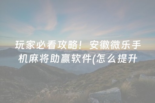 玩家必看攻略！安徽微乐手机麻将助赢软件(怎么提升胜率)