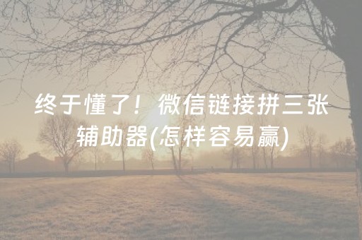 终于懂了！微信链接拼三张辅助器(怎样容易赢)
