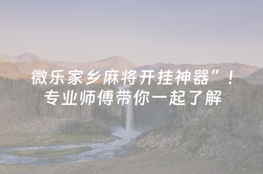 微乐家乡麻将开挂神器”!专业师傅带你一起了解（详细教程）-知乎