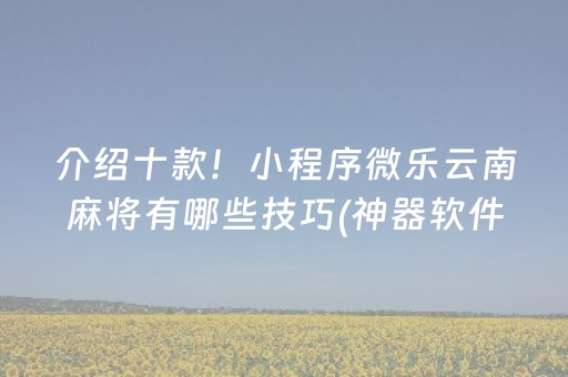 介绍十款！小程序微乐云南麻将有哪些技巧(神器软件)