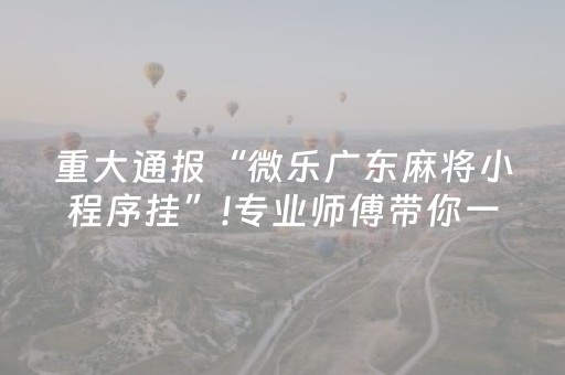 重大通报“微乐广东麻将小程序挂”!专业师傅带你一起了解（详细教程）-知乎
