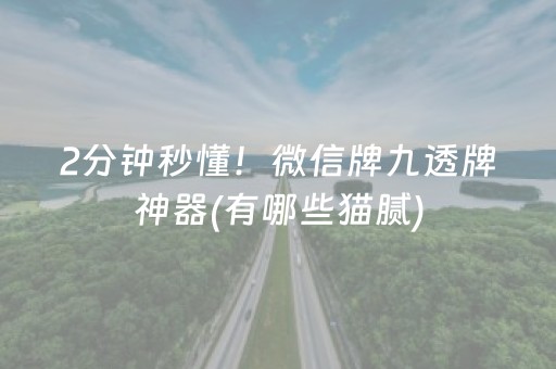 2分钟秒懂！微信牌九透牌神器(有哪些猫腻)
