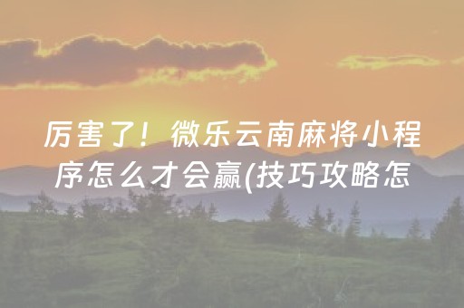厉害了！微乐云南麻将小程序怎么才会赢(技巧攻略怎样拿好牌)