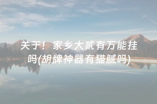 关于！家乡大贰有万能挂吗(胡牌神器有猫腻吗)