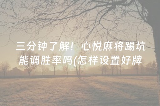 三分钟了解！心悦麻将踢坑能调胜率吗(怎样设置好牌)