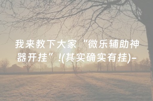 我来教下大家“微乐辅助神器开挂”!(其实确实有挂)-知乎