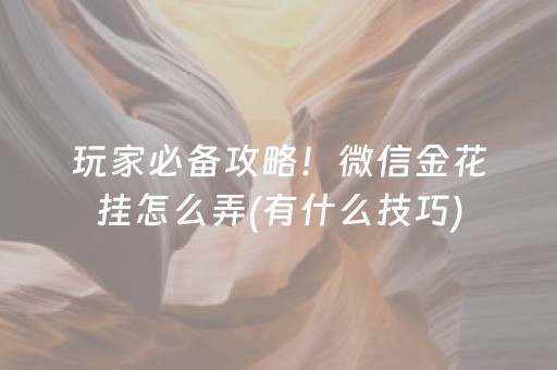 玩家必备攻略！微信金花挂怎么弄(有什么技巧)