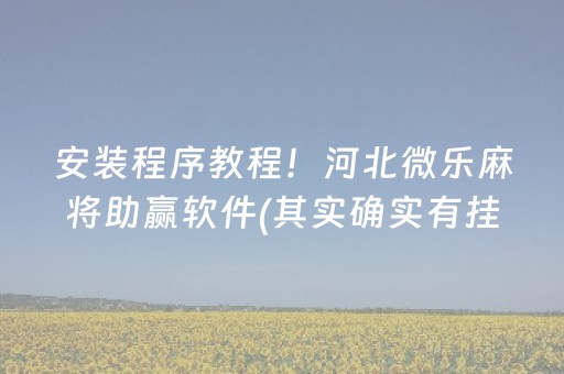 安装程序教程！河北微乐麻将助赢软件(其实确实有挂)