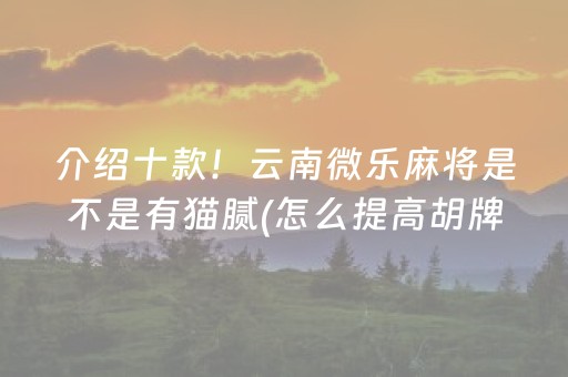 介绍十款！云南微乐麻将是不是有猫腻(怎么提高胡牌率)