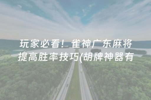玩家必看！雀神广东麻将提高胜率技巧(胡牌神器有猫腻吗)