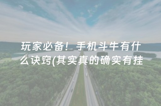 玩家必备！手机斗牛有什么诀窍(其实真的确实有挂)