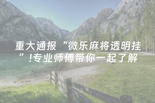 重大通报“微乐麻将透明挂”!专业师傅带你一起了解（详细教程）-知乎