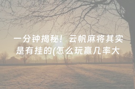 一分钟揭秘！云帆麻将其实是有挂的(怎么玩赢几率大)