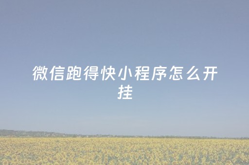 微信跑得快小程序怎么开挂（微信小程序跑得快可以开挂不）