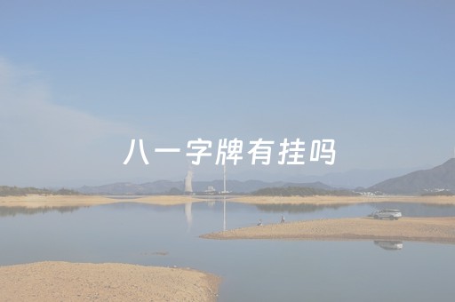 八一字牌有挂吗（八一字牌看牌神器有用吗）