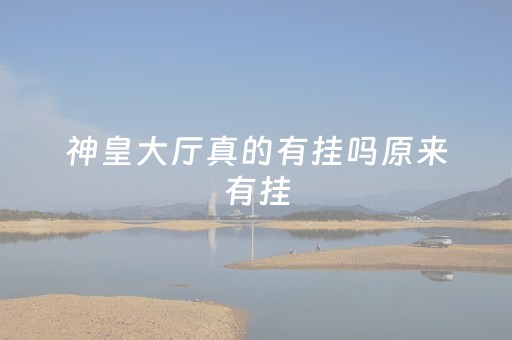 神皇大厅真的有挂吗原来有挂（神皇集团）