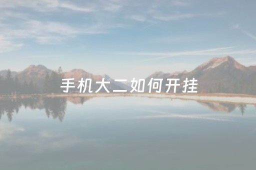 手机大二如何开挂（手机上打大二能开挂吗）