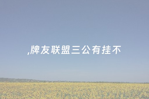 ,牌友联盟三公有挂不（牌友联盟官方）