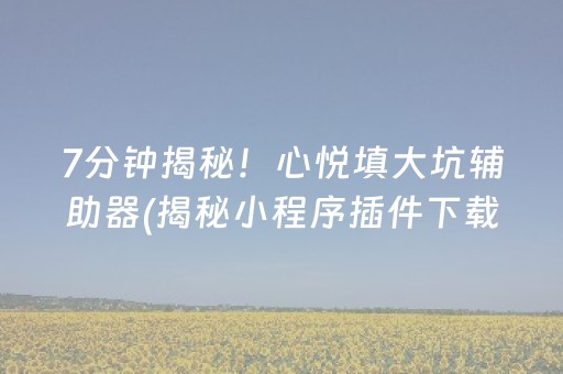 7分钟揭秘！心悦填大坑辅助器(揭秘小程序插件下载)