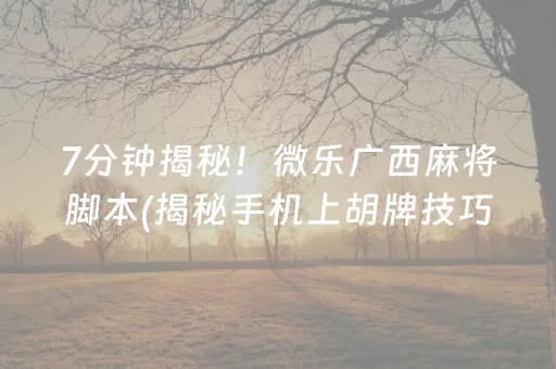 7分钟揭秘！微乐广西麻将脚本(揭秘手机上胡牌技巧)