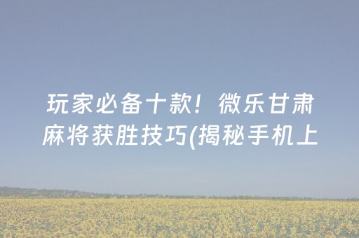 玩家必备十款！微乐甘肃麻将获胜技巧(揭秘手机上规律攻略)