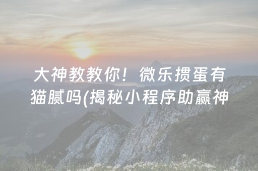大神教教你！微乐掼蛋有猫腻吗(揭秘小程序助赢神器购买)