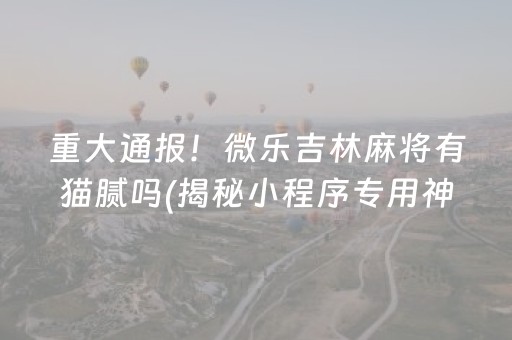 重大通报！微乐吉林麻将有猫腻吗(揭秘小程序专用神器下载)
