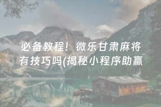 必备教程！微乐甘肃麻将有技巧吗(揭秘小程序助赢神器)