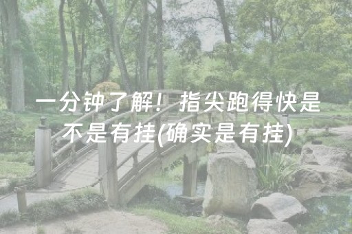 一分钟了解！指尖跑得快是不是有挂(确实是有挂)
