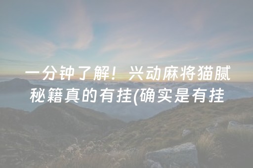 一分钟了解！兴动麻将猫腻秘籍真的有挂(确实是有挂)