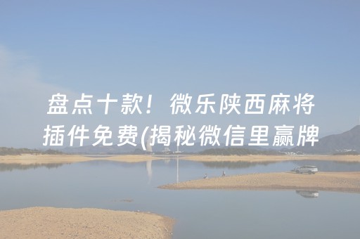 盘点十款！微乐陕西麻将插件免费(揭秘微信里赢牌技巧)