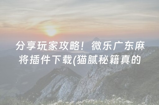 分享玩家攻略！微乐广东麻将插件下载(猫腻秘籍真的有挂)
