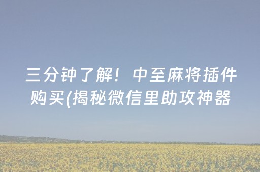 三分钟了解！中至麻将插件购买(揭秘微信里助攻神器)