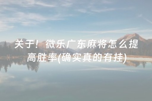 关于！微乐广东麻将怎么提高胜率(确实真的有挂)