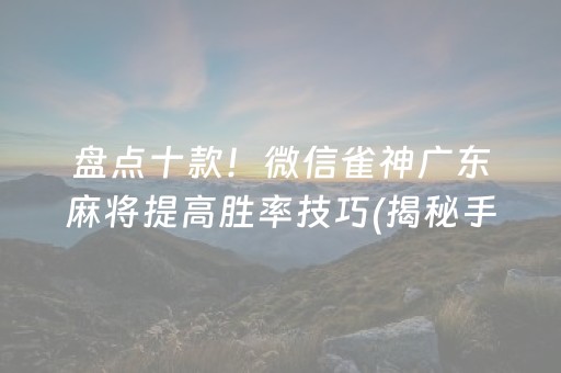 盘点十款！微信雀神广东麻将提高胜率技巧(揭秘手机上插件购买)