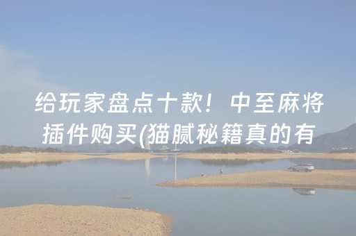 给玩家盘点十款！中至麻将插件购买(猫腻秘籍真的有挂)