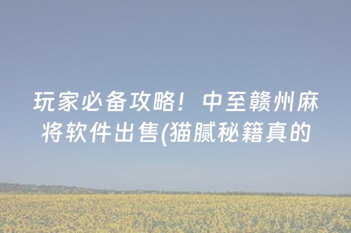 玩家必备攻略！中至赣州麻将软件出售(猫腻秘籍真的有挂)