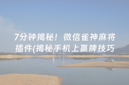 7分钟揭秘！微信雀神麻将插件(揭秘手机上赢牌技巧)