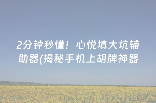 2分钟秒懂！心悦填大坑辅助器(揭秘手机上胡牌神器)