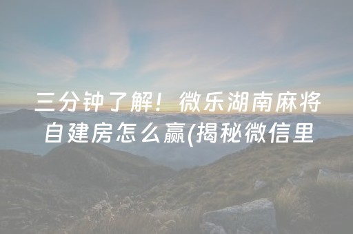 三分钟了解！微乐湖南麻将自建房怎么赢(揭秘微信里攻略插件)