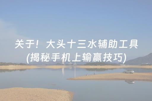 关于！大头十三水辅助工具(揭秘手机上输赢技巧)
