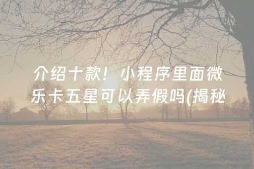 介绍十款！小程序里面微乐卡五星可以弄假吗(揭秘手机上助赢神器)