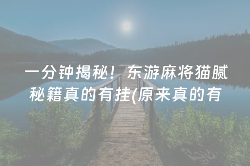 一分钟揭秘！东游麻将猫腻秘籍真的有挂(原来真的有挂)