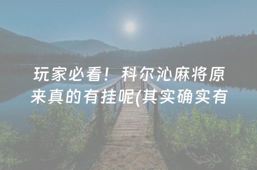 玩家必看！科尔沁麻将原来真的有挂呢(其实确实有挂)