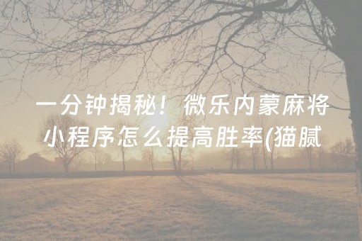 一分钟揭秘！微乐内蒙麻将小程序怎么提高胜率(猫腻秘籍真的有挂)